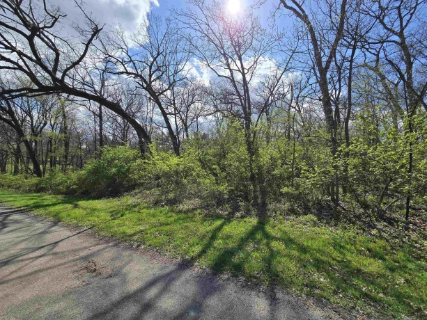 211 Maple, DIXON, Illinois 61021, ,Land,For Sale,Maple,202602745