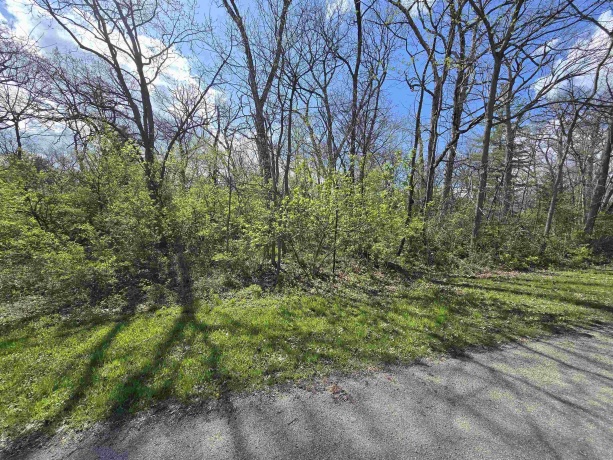 211 Maple, DIXON, Illinois 61021, ,Land,For Sale,Maple,202602745
