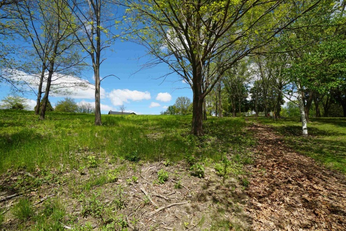 8A212 Adams, APPLE RIVER, Illinois 61001, ,Land,For Sale,Adams,202602756