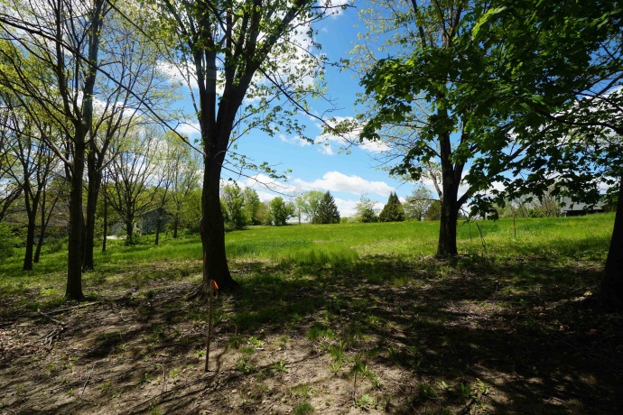 8A212 Adams, APPLE RIVER, Illinois 61001, ,Land,For Sale,Adams,202602756