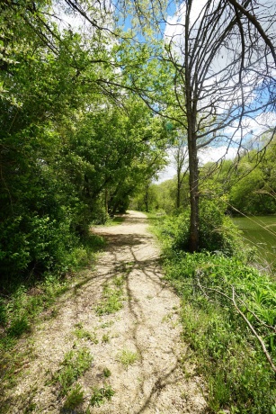 8A212 Adams, APPLE RIVER, Illinois 61001, ,Land,For Sale,Adams,202602756
