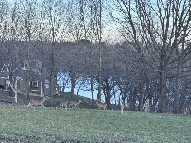 8A212 Adams, APPLE RIVER, Illinois 61001, ,Land,For Sale,Adams,202602756