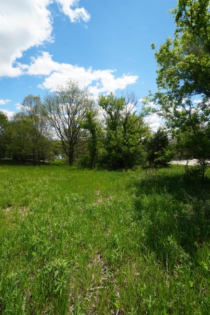 8A212 Adams, APPLE RIVER, Illinois 61001, ,Land,For Sale,Adams,202602756
