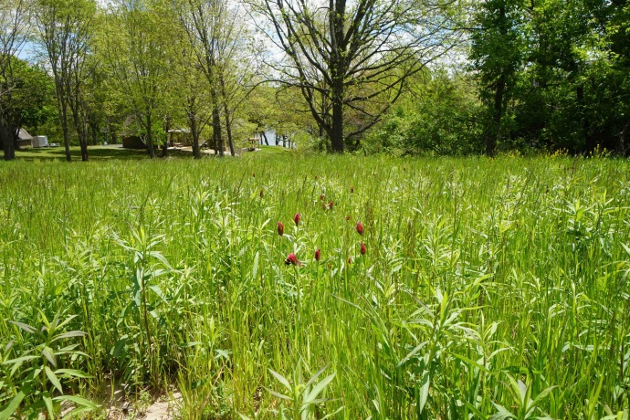 8A212 Adams, APPLE RIVER, Illinois 61001, ,Land,For Sale,Adams,202602756