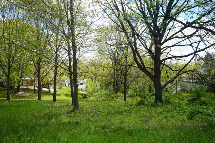 8A212 Adams, APPLE RIVER, Illinois 61001, ,Land,For Sale,Adams,202602756