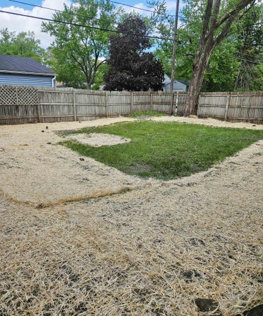1401 Barton, ROCKFORD, Illinois 61103, 3 Bedrooms Bedrooms, ,1 BathroomBathrooms,House,For Sale,Barton,202602787