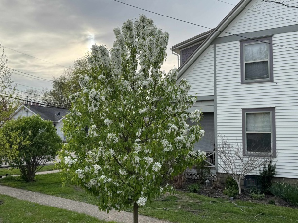 214 Adams Street, GALENA, Illinois 61036, 4 Bedrooms Bedrooms, ,3 BathroomsBathrooms,House,For Sale,Adams Street,202602797