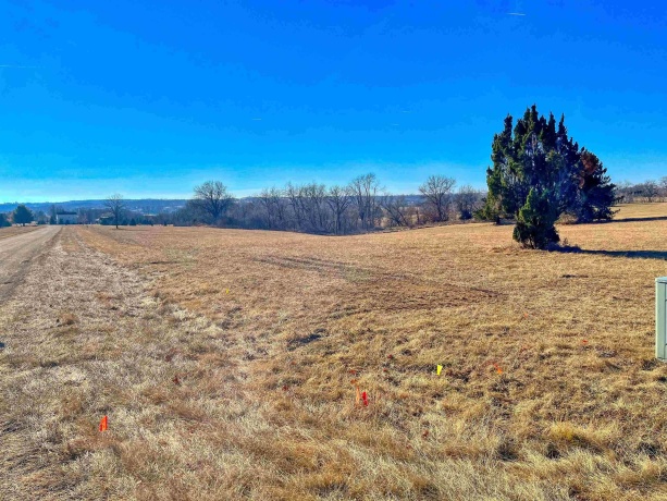 27-65 Ridgeview, LAKE CARROLL, Illinois 61046, ,Land,For Sale,Ridgeview,202602843