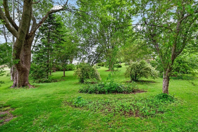 405 Cherry, FORRESTON, Illinois 61030, 3 Bedrooms Bedrooms, ,1 BathroomBathrooms,House,For Sale,Cherry,202602894