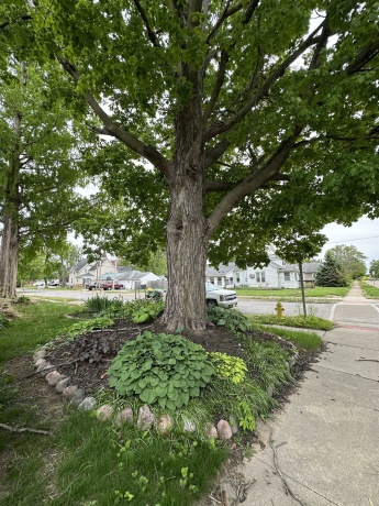 2905 Pershing, CLINTON, Iowa 52732, 3 Bedrooms Bedrooms, ,1 BathroomBathrooms,House,For Sale,Pershing,202602848
