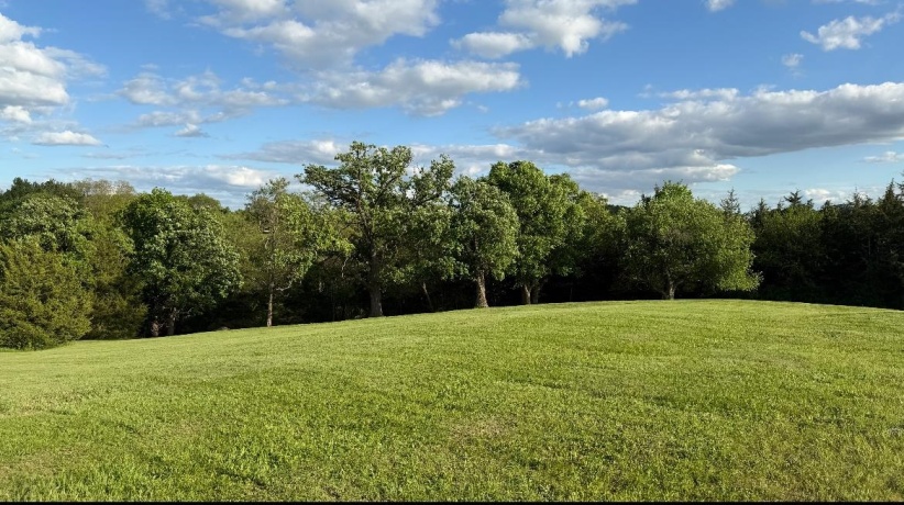 TBD Mathew, GALENA, Illinois 61036, ,Land,For Sale,Mathew,202602905