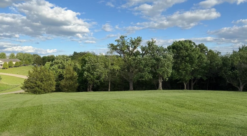 TBD Mathew, GALENA, Illinois 61036, ,Land,For Sale,Mathew,202602905