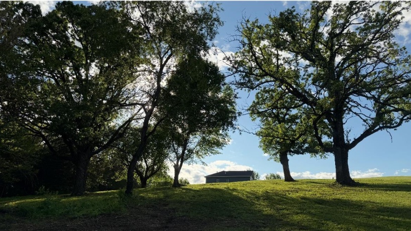 TBD Mathew, GALENA, Illinois 61036, ,Land,For Sale,Mathew,202602905