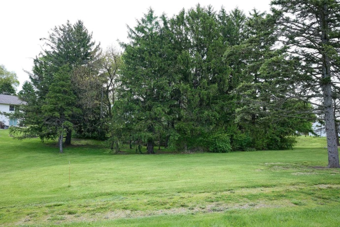 0 Sycamore, CEDAR POINT, Illinois 61316, ,Land,For Sale,Sycamore,202602913