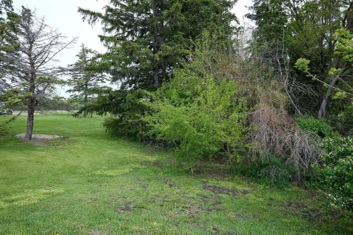 0 Sycamore, CEDAR POINT, Illinois 61316, ,Land,For Sale,Sycamore,202602913