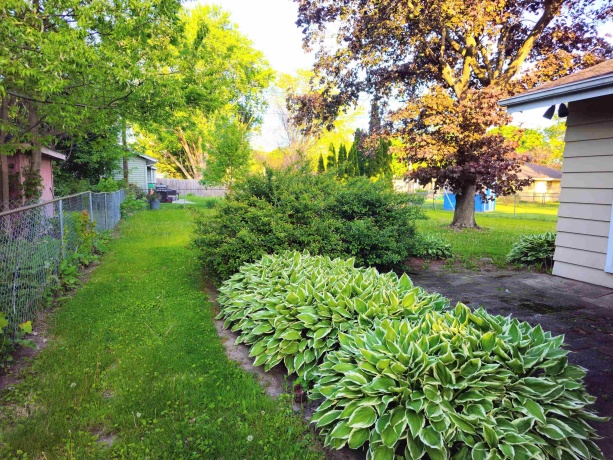 1926 Apple Tree, ROCKFORD, Illinois 61108, 2 Bedrooms Bedrooms, ,1 BathroomBathrooms,House,For Sale,Apple Tree,202602941