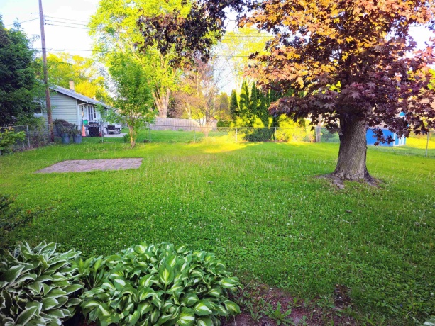 1926 Apple Tree, ROCKFORD, Illinois 61108, 2 Bedrooms Bedrooms, ,1 BathroomBathrooms,House,For Sale,Apple Tree,202602941