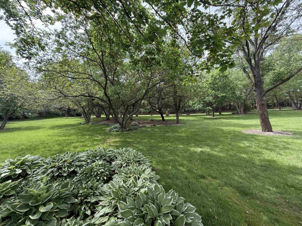 7215 Centennial, ROCKFORD, Illinois 61107, 3 Bedrooms Bedrooms, ,2 BathroomsBathrooms,Condominium,For Sale,Centennial,202602948