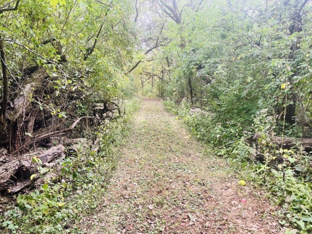 1994 2753rd, OTTAWA, Illinois 61350, ,Land,For Sale,2753rd,202506381