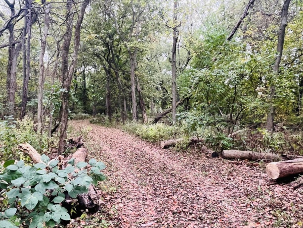 1994 2753rd, OTTAWA, Illinois 61350, ,Land,For Sale,2753rd,202506381