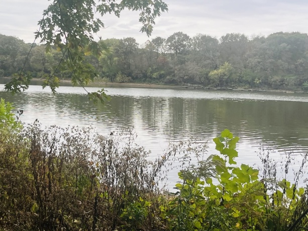 1994 2753rd, OTTAWA, Illinois 61350, ,Land,For Sale,2753rd,202506381
