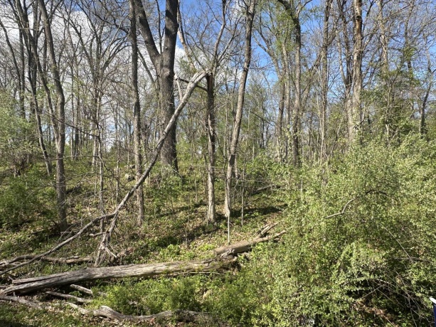 0 Lot 168 Lake Thunderbird, Putnam, Illinois 61560, ,Land,For Sale,Lot 168 Lake Thunderbird,202602167