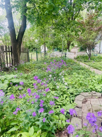 1239 GARRISON, ROCKFORD, Illinois 61103, 5 Bedrooms Bedrooms, ,2 BathroomsBathrooms,House,For Sale,GARRISON,202602969