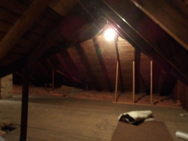 606 Robert, ROCKFORD, Illinois 61107, 2 Bedrooms Bedrooms, ,1 BathroomBathrooms,House,For Sale,Robert,202603027