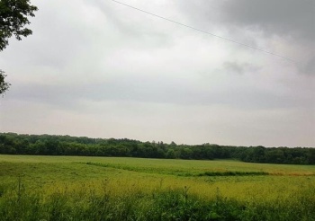 88xx YALE BRIDGE, ROCKTON, Illinois 61072, ,Land,For Sale,YALE BRIDGE,202603039