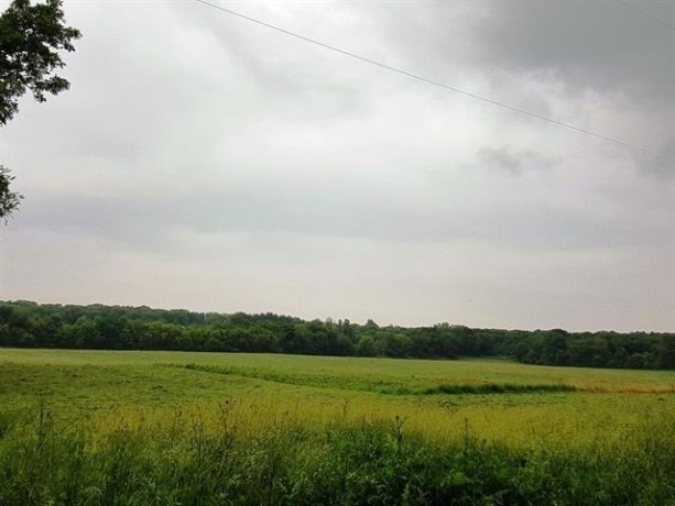 88xx YALE BRIDGE, ROCKTON, Illinois 61072, ,Land,For Sale,YALE BRIDGE,202603039