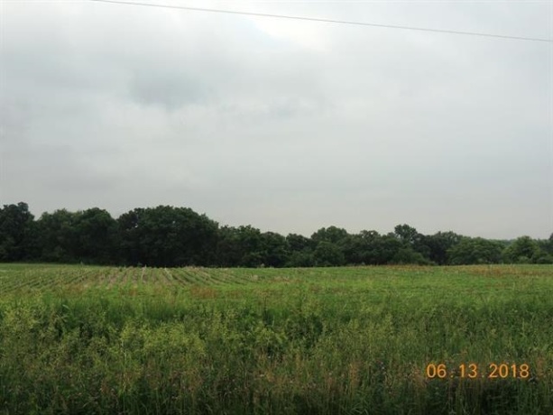 88xx YALE BRIDGE, ROCKTON, Illinois 61072, ,Land,For Sale,YALE BRIDGE,202603039