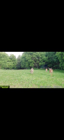 9494 Lost Horizon, HANOVER, Illinois 61041, ,Land,For Sale,Lost Horizon,202603047