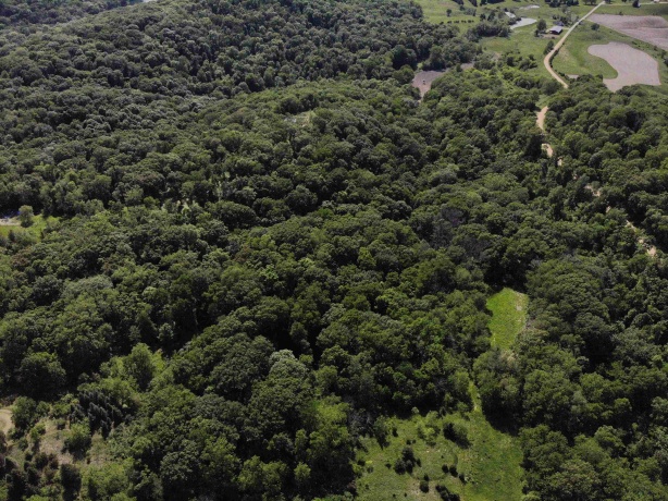 9494 Lost Horizon, HANOVER, Illinois 61041, ,Land,For Sale,Lost Horizon,202603047