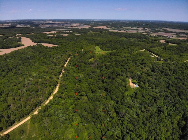 9494 Lost Horizon, HANOVER, Illinois 61041, ,Land,For Sale,Lost Horizon,202603047