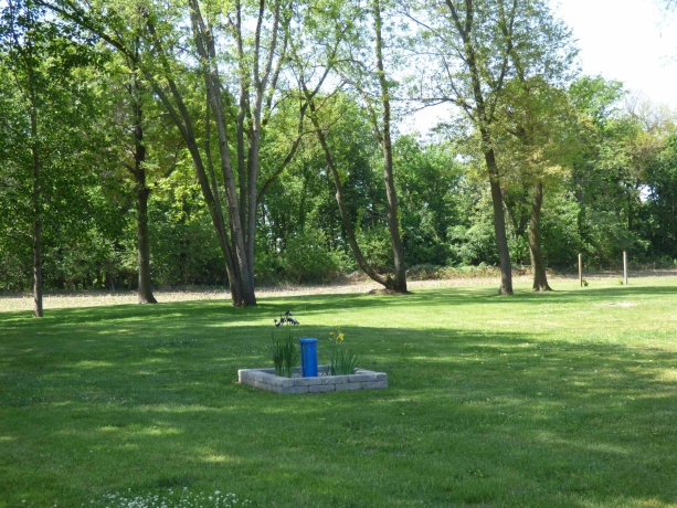 6384A Diehl, SAVANNA, Illinois 61074, ,Land,For Sale,Diehl,202603082