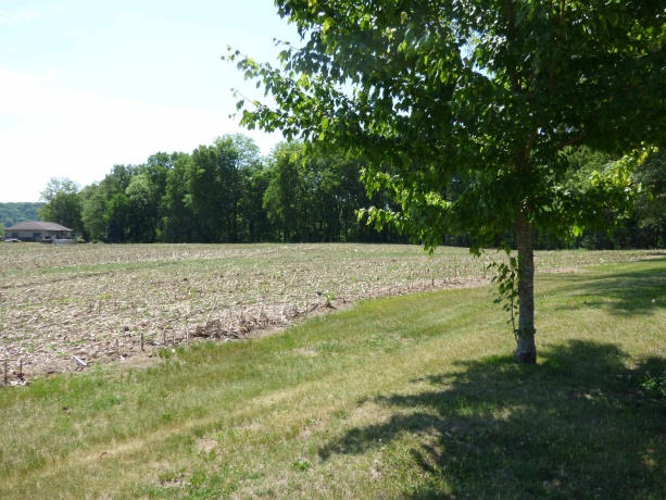 6384A Diehl, SAVANNA, Illinois 61074, ,Land,For Sale,Diehl,202603082