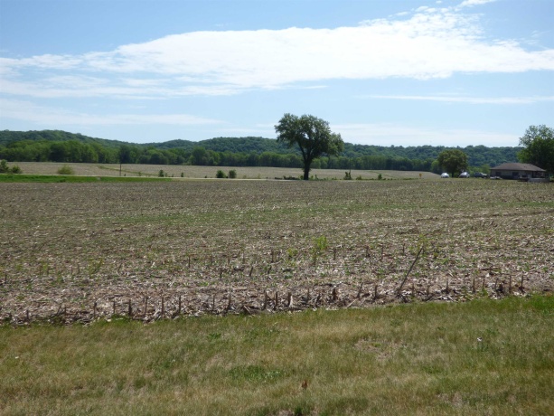 6384A Diehl, SAVANNA, Illinois 61074, ,Land,For Sale,Diehl,202603082