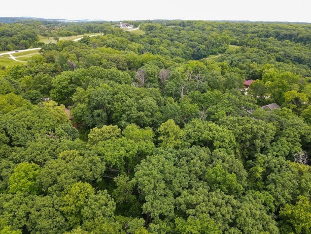 3 Haven Lane, GALENA, Illinois 61036, ,Land,For Sale,Haven Lane,202603105
