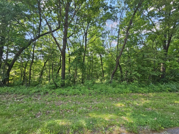 3 Haven Lane, GALENA, Illinois 61036, ,Land,For Sale,Haven Lane,202603105