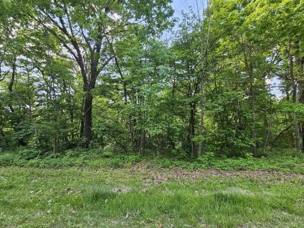 3 Haven Lane, GALENA, Illinois 61036, ,Land,For Sale,Haven Lane,202603105