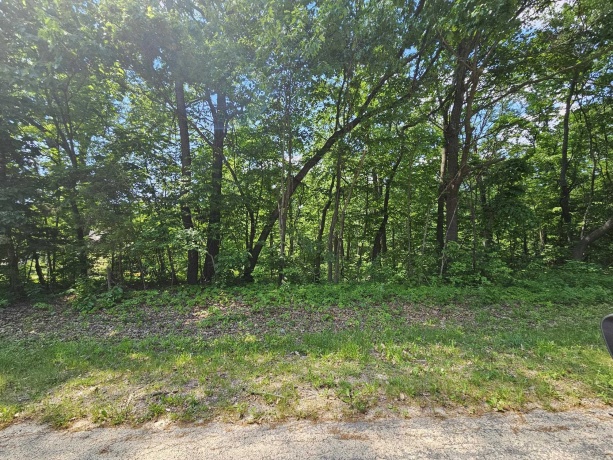 3 Haven Lane, GALENA, Illinois 61036, ,Land,For Sale,Haven Lane,202603105