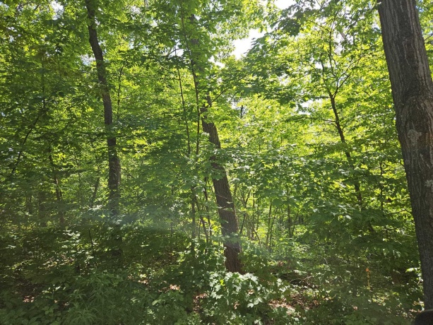 3 Haven Lane, GALENA, Illinois 61036, ,Land,For Sale,Haven Lane,202603105
