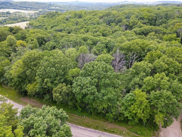 3 Haven Lane, GALENA, Illinois 61036, ,Land,For Sale,Haven Lane,202603105