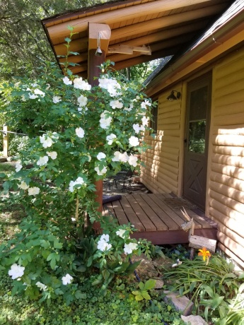 9 Copperwood Gap, GALENA, Illinois 61036, 2 Bedrooms Bedrooms, ,2 BathroomsBathrooms,House,For Sale,Copperwood Gap,202603152