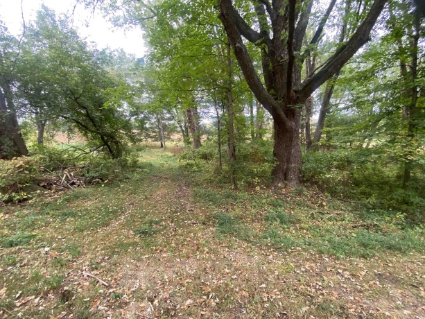 17653 Laube, DAVIS, Illinois 61019, 3 Bedrooms Bedrooms, ,1 BathroomBathrooms,House,For Sale,Laube,202603179