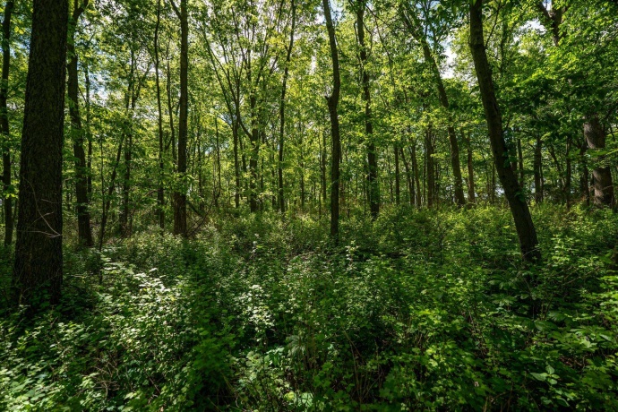 0 Jay, FREEPORT, Illinois 61032, ,Land,For Sale,Jay,202603207