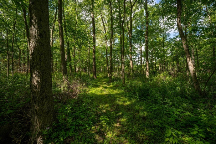 0 Jay, FREEPORT, Illinois 61032, ,Land,For Sale,Jay,202603207