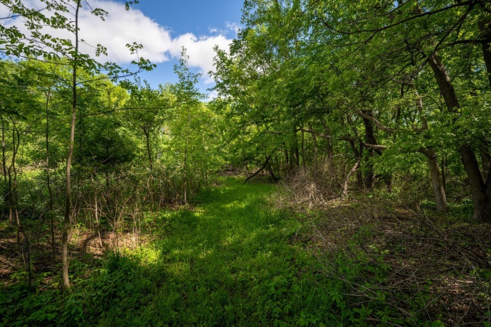 0 Jay, FREEPORT, Illinois 61032, ,Land,For Sale,Jay,202603207