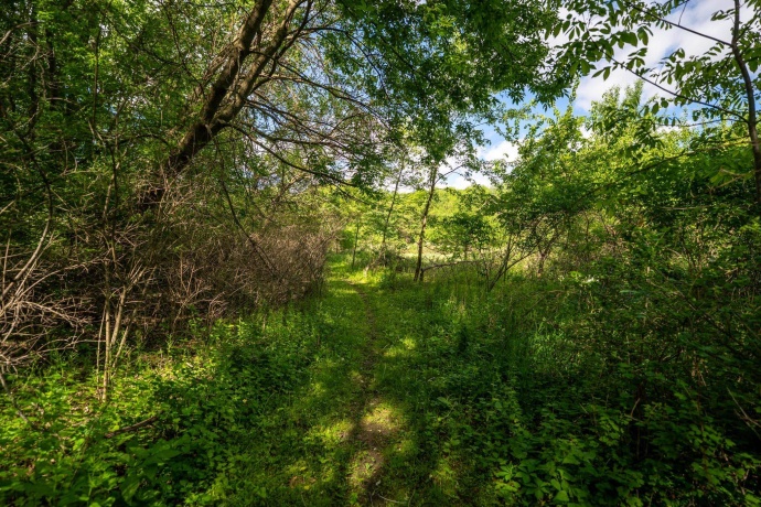 0 Jay, FREEPORT, Illinois 61032, ,Land,For Sale,Jay,202603207