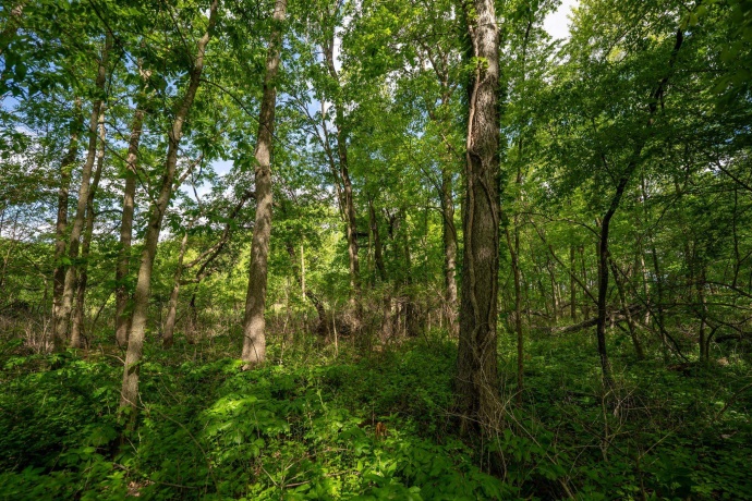 0 Jay, FREEPORT, Illinois 61032, ,Land,For Sale,Jay,202603207